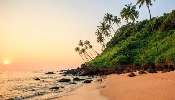 Sunset over a palm-lined Goa beach